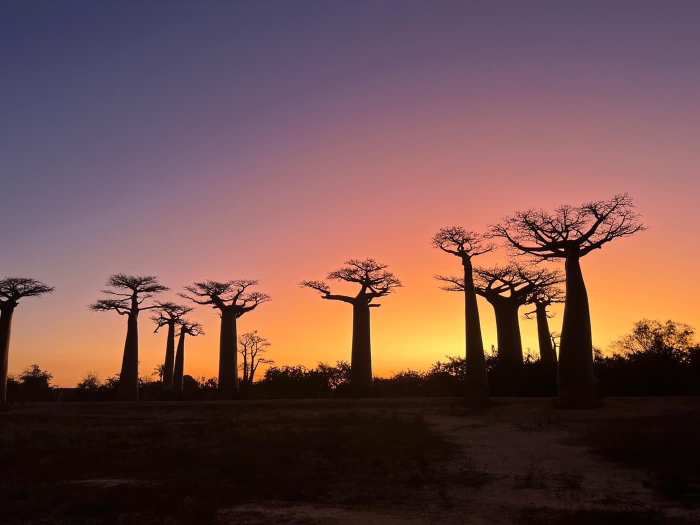 Madagascar