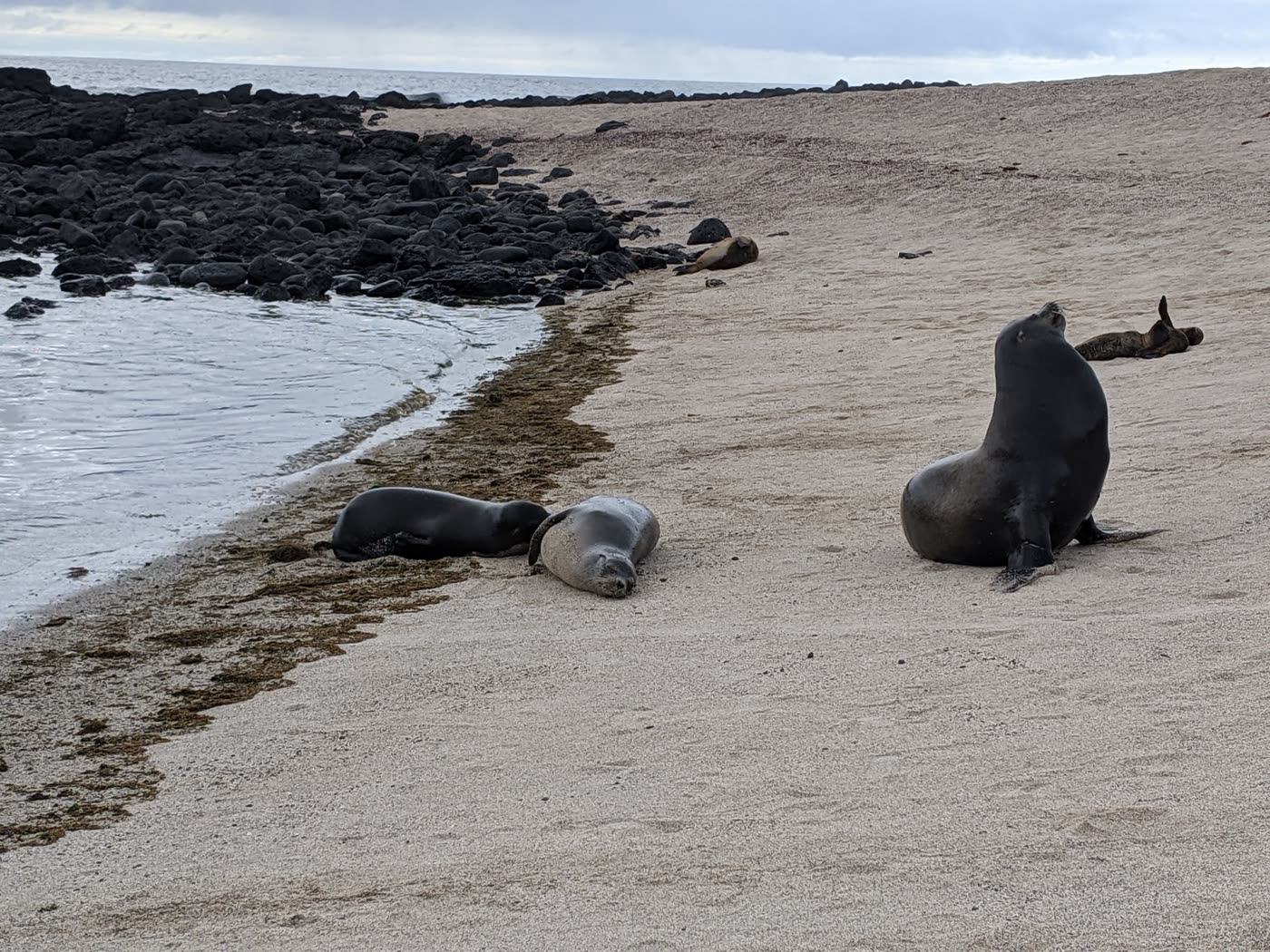 Galápagos Islands, Ecuador