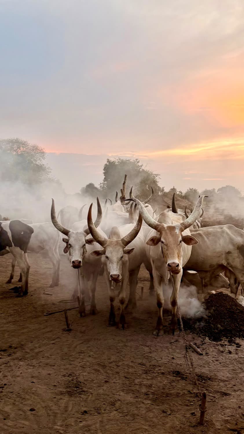 South Sudan