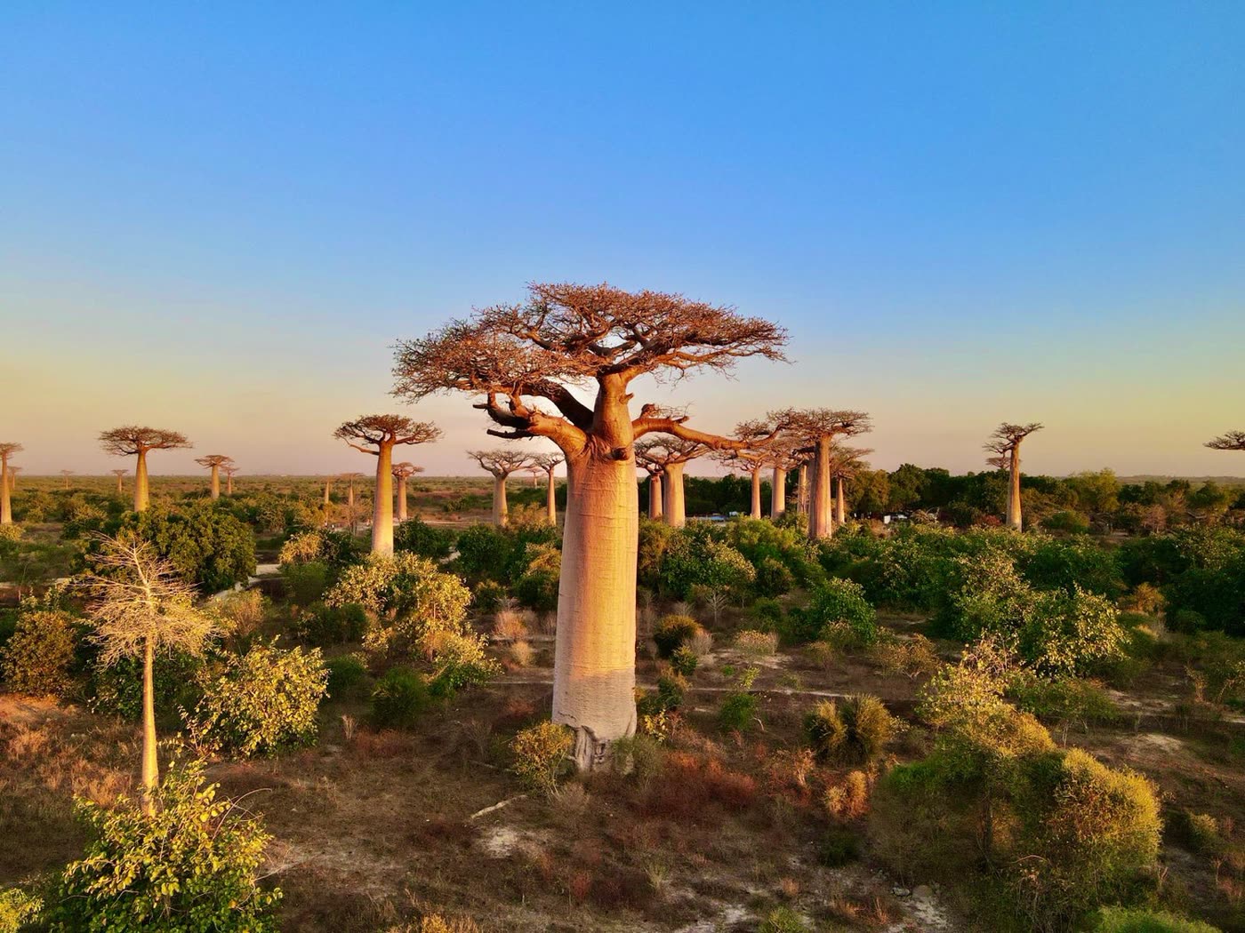 Madagascar